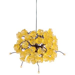 Citrus Gold Hanging Light