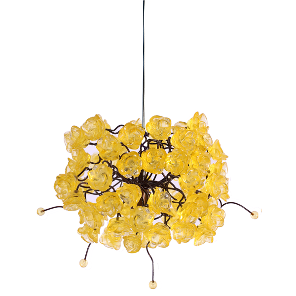 Citrus Gold Hanging Light